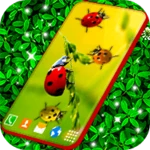 cute ladybug live wallpaper android application logo